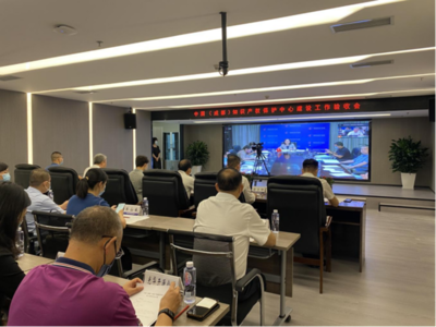 中國（成都）知識(shí)產(chǎn)權(quán)保護(hù)中心通過國家知識(shí)產(chǎn)權(quán)局驗(yàn)收，助力信息技術(shù)咨詢服務(wù)發(fā)展